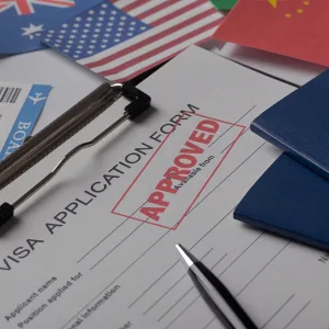 Student Visa Consultant